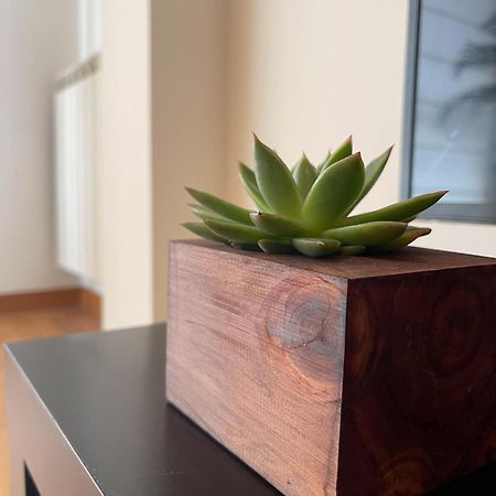 Apartamento Nuskis Porriño 外观 照片